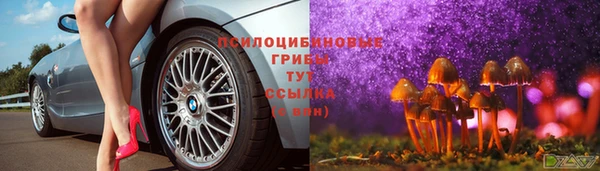 spice Горнозаводск