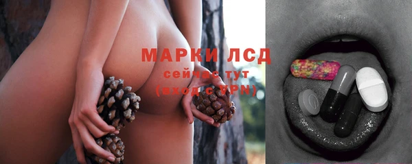 spice Горнозаводск