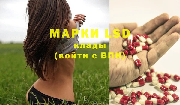 винт Вяземский