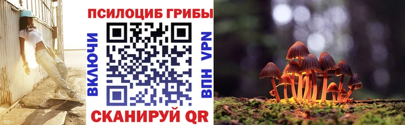 Галлюциногенные грибы ЛСД  Купить закладки  Княгинино 